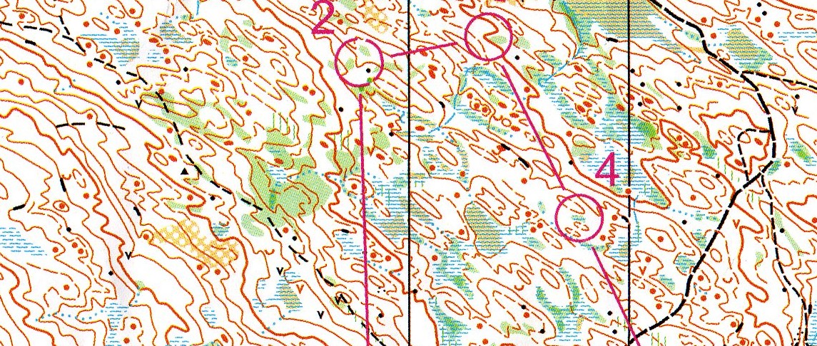 Utsnitt av Svartåsen