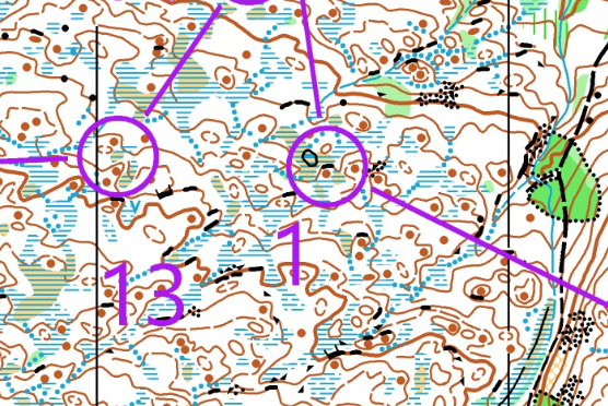 Løype på 9 km med langdistansepreg kartbilde
